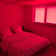 Chambre a louer (Photo #9)