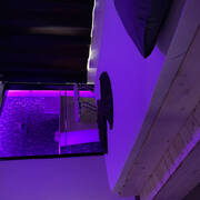 DREAM GIRLS (Photo #5)