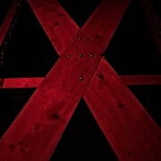 Dame C (Photo #6)