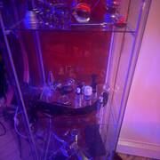 Miss NAELLE (Photo #47)