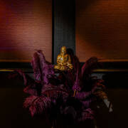 Machiavelly (Photo #12)