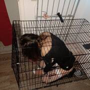 Dominatrice Morgane (Photo #32)