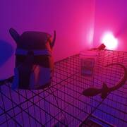 Maitresse Morgane (Photo #47)