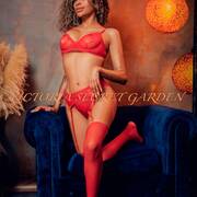 VICTORIA SECRET GARDEN (Photo #6)