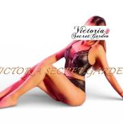 VICTORIA SECRET GARDEN