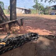 Le voisin pervers est de retour (Photo #20)