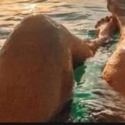 Le voisin pervers est de retour (Photo #6)