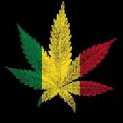 Olivia Travesti (Photo #9)