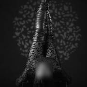 MEREL DEWIT (Photo #4)