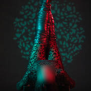 MEREL DEWIT (Photo #5)