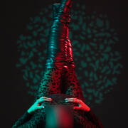 MEREL DEWIT (Photo #8)