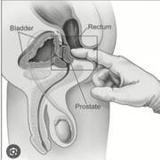 Massothrapeute  Carla