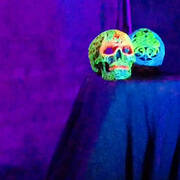 Votre Intimié (Photo #9)