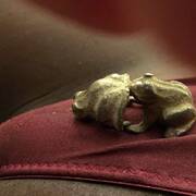 Capricia location (Photo #5)