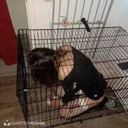 Bar donjon bdsm (Photo #14)