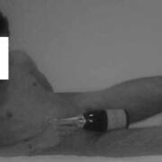 Prince118218 (Photo #1)