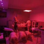 Maitresse Morgane en virtuel (Photo #20)