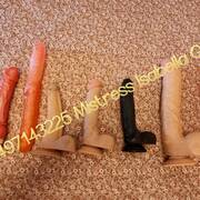 Trans Isabella (Photo #11)