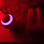 Hédoniste (Photo #9)