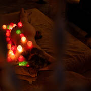 Tantra Tess (Photo #1)