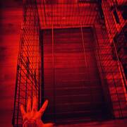 Bellatrix (Photo #4)