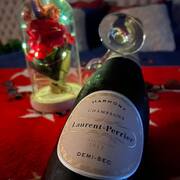 Cafe camelia (Photo #4)