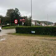 Cafe camelia (Photo #5)