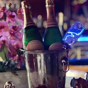 Cafe camelia (Photo #2)