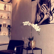 MASSAGE DUO (Photo #1)