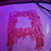 Angelina - Goddess (Photo #16)