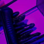 Angelina - Goddess (Photo #37)