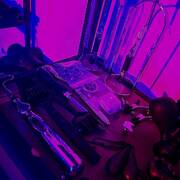 Angelina - Goddess (Photo #29)