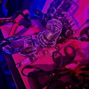 Angelina - Goddess (Photo #27)