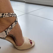 Sissi (Photo #1)