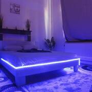 NivelleRoom (Photo #4)