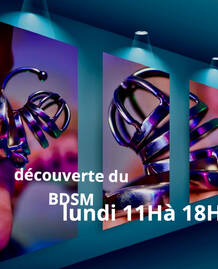 Art du BDSM