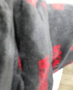 Sam