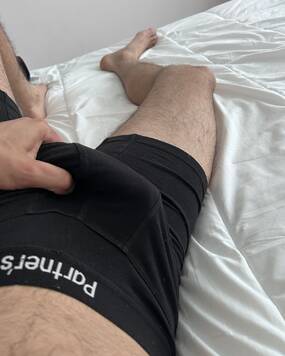 Anis