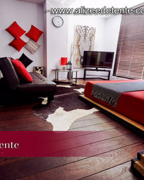 Alizée Détente Recrute