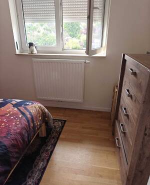 Kamer verhuur - room for rent - Regio Waregem