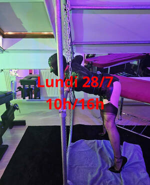 Tgirls Party dans gloriole