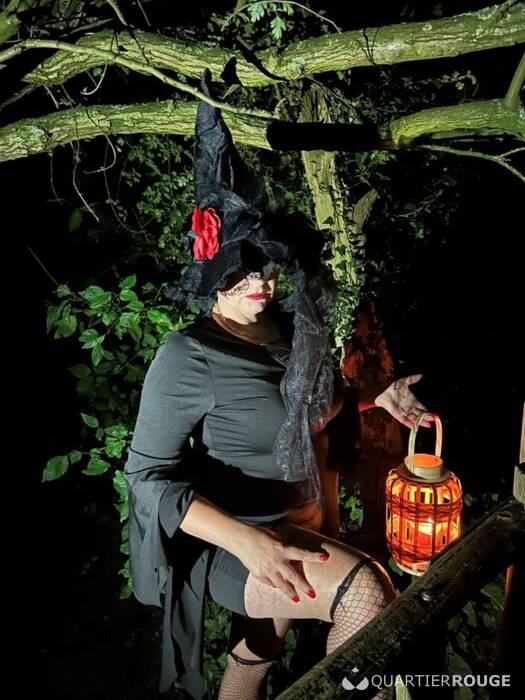 Vlaamse Lieve Dame (Photo)