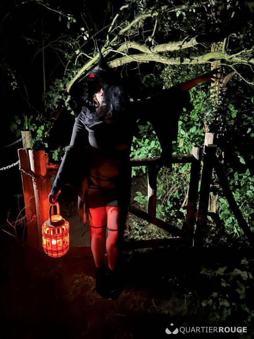 Vlaamse Lieve Dame (Photo)