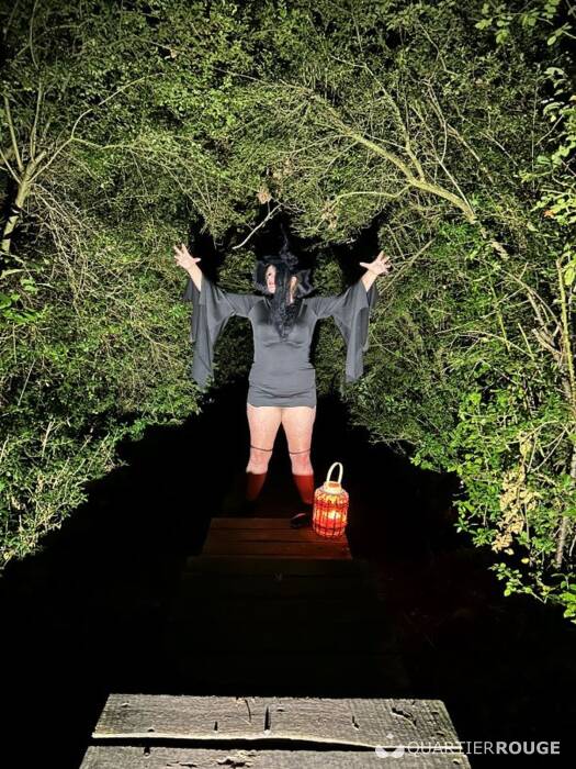 Vlaamse Lieve Dame (Photo)