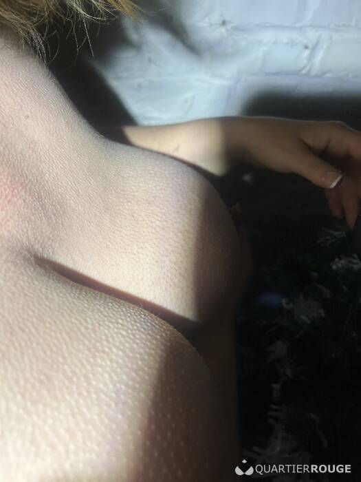 Vlaamse Lieve Dame (Photo)