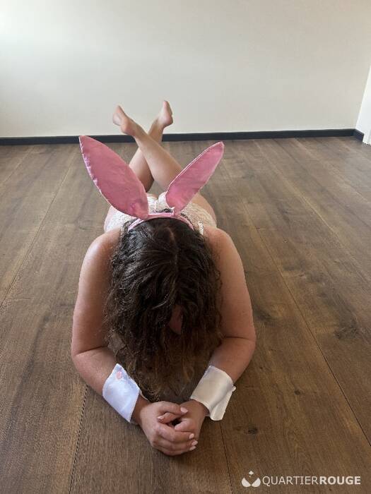 Vlaamse Lieve Dame (Photo)