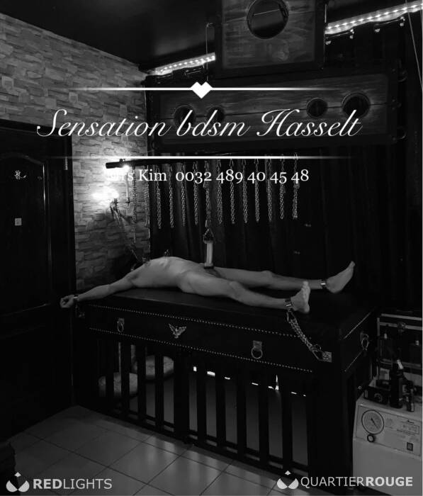 SENSATION BDSM Hasselt (Photo)