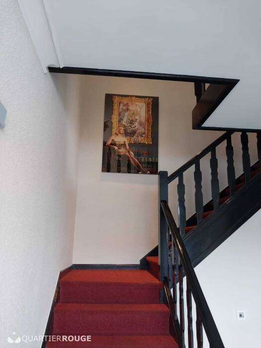 Kamer verhuur - room for rent - Regio Waregem (Photo)