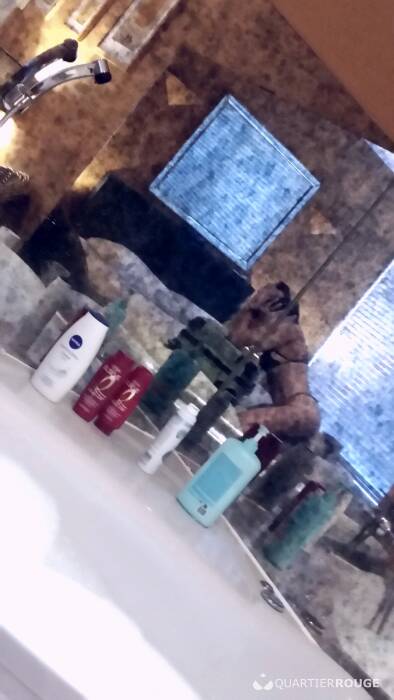 GIULYA SWEET GIULYA (Photo)