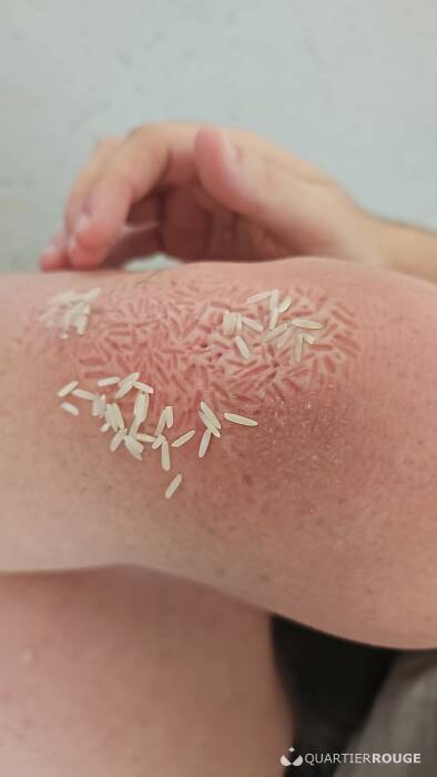 Soumis hainaut (Photo)